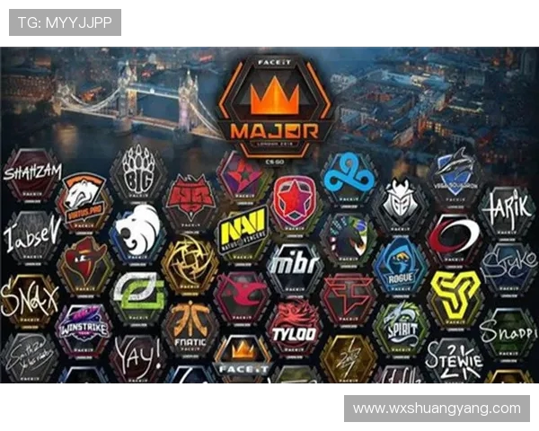 EDG战队在CSGO赛场上的崛起与突破历程全景回顾