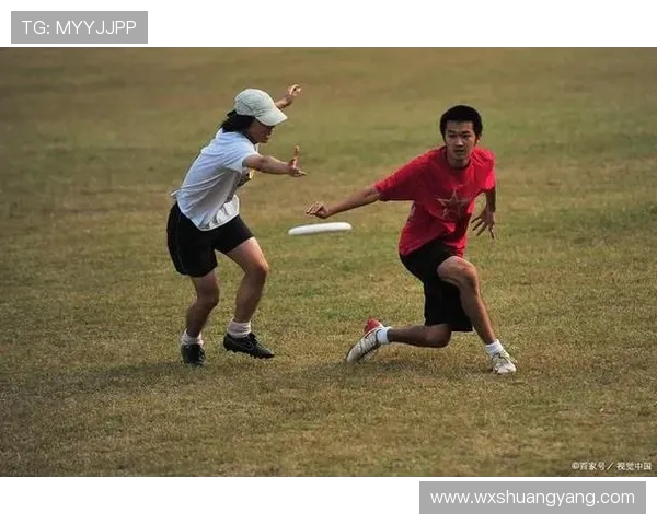 杭州飞盘队耐力之争引发热议球员表现与训练方式成焦点